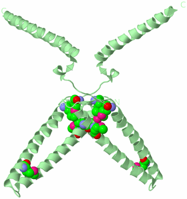 Image Biological Unit 7