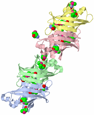 Image Asymmetric Unit