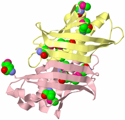 Image Biological Unit 2