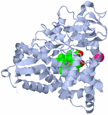 Image Biological Unit 1