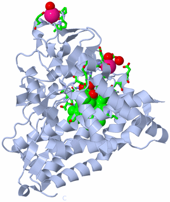 Image Biol. Unit 1 - sites