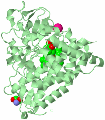 Image Biological Unit 2