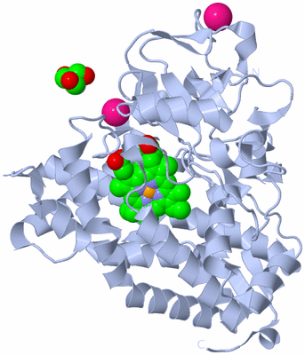 Image Biological Unit 1