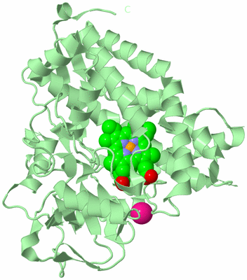 Image Biological Unit 2