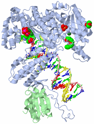 Image Asym./Biol. Unit