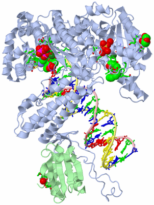 Image Asym./Biol. Unit - sites