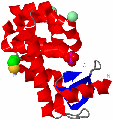 Image Asymmetric Unit
