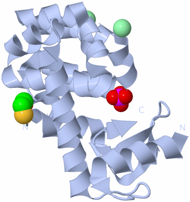 Image Biological Unit 1