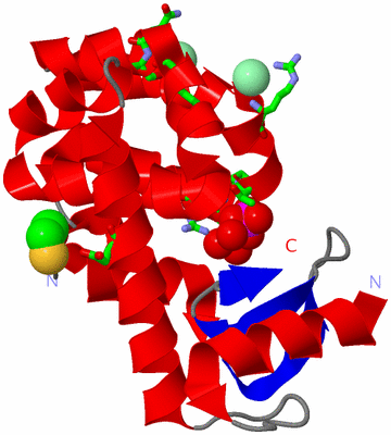 Image Asym. Unit - sites