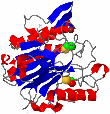 Image Asym./Biol. Unit