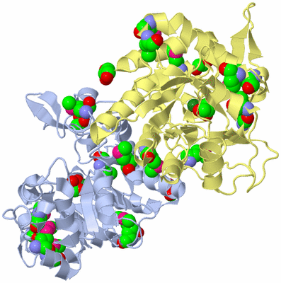 Image Biological Unit 1