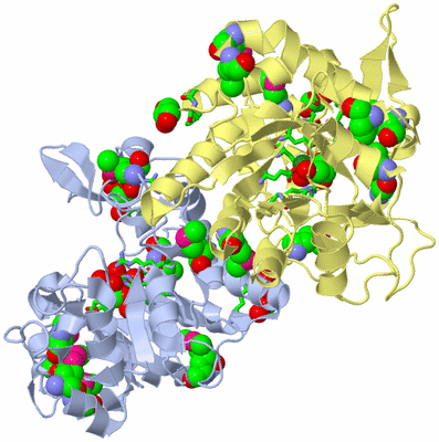 Image Biol. Unit 1 - sites