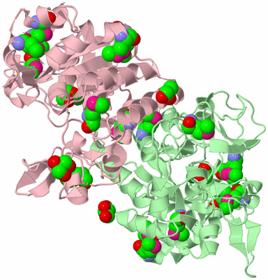 Image Biological Unit 2