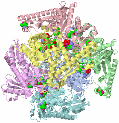 Image Asym./Biol. Unit