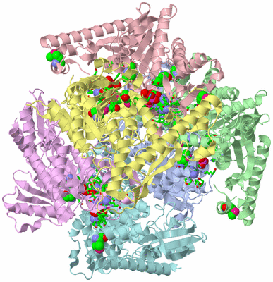 Image Asym./Biol. Unit - sites