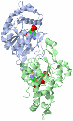 Image Biological Unit 1