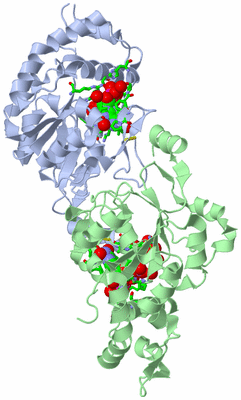 Image Biol. Unit 1 - sites