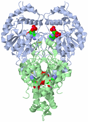 Image Biological Unit 2