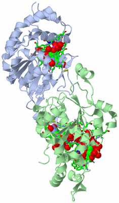 Image Biol. Unit 1 - sites