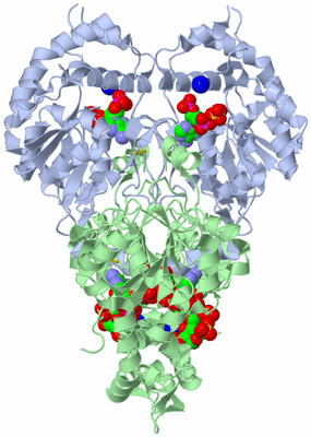 Image Biological Unit 2