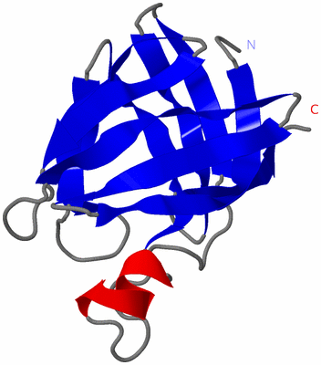 Image NMR Structure - model 1