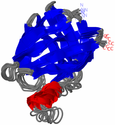 Image NMR Structure - all models