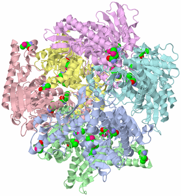 Image Asym./Biol. Unit