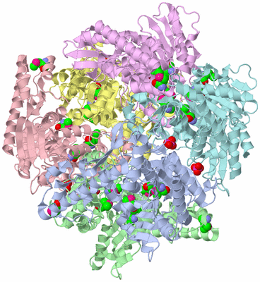 Image Asym./Biol. Unit