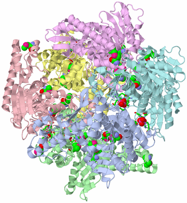 Image Asym./Biol. Unit - sites