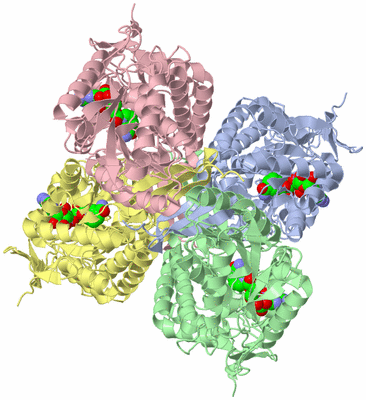 Image Asym./Biol. Unit