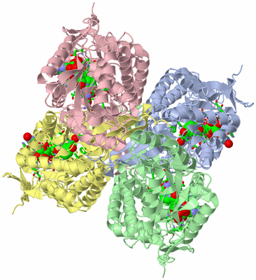 Image Asym./Biol. Unit - sites