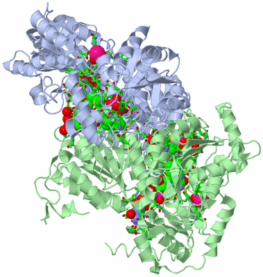 Image Biol. Unit 1 - sites