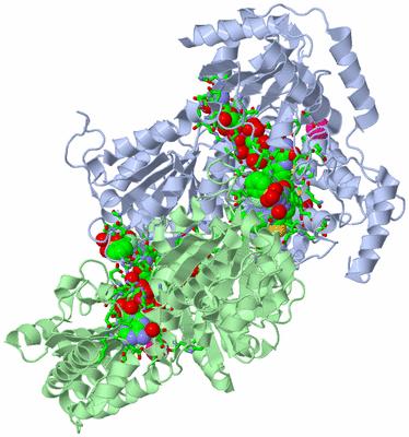 Image Asym./Biol. Unit - sites