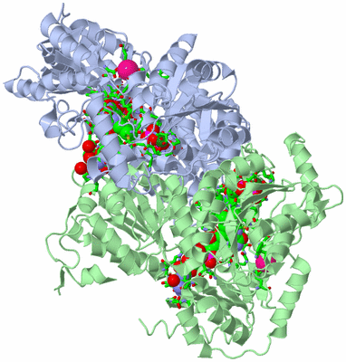 Image Asym./Biol. Unit - sites