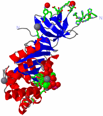 Image Asym./Biol. Unit - sites