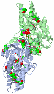 Image Biol. Unit 1 - sites