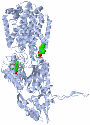 Image Biol. Unit 1 - sites