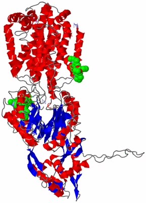 Image Asym. Unit - sites