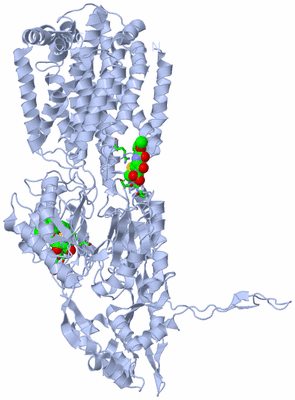 Image Biol. Unit 1 - sites