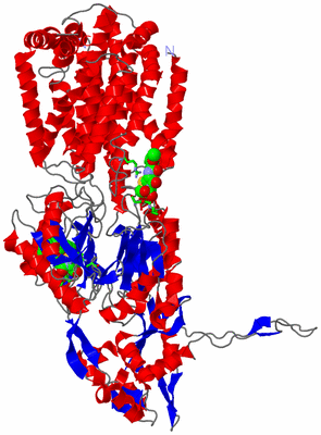 Image Asym. Unit - sites