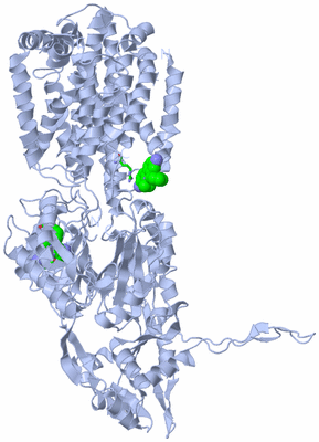 Image Biol. Unit 1 - sites