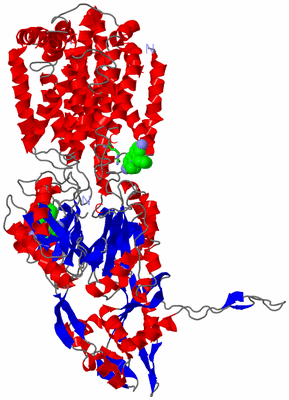 Image Asym. Unit - sites