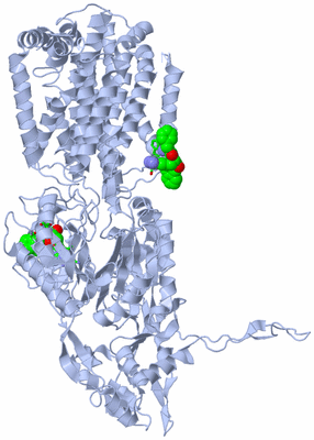 Image Biol. Unit 1 - sites