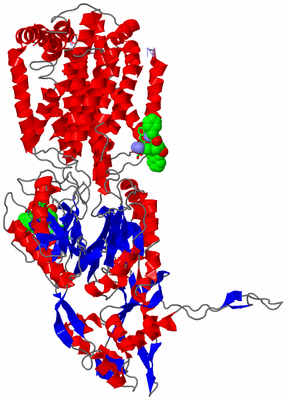 Image Asym. Unit - sites