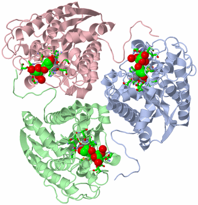 Image Asym./Biol. Unit - sites