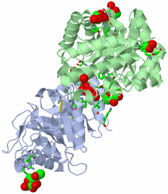 Image Asym./Biol. Unit - sites