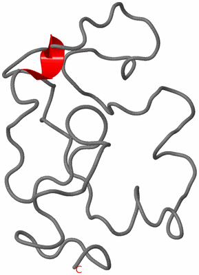 Image NMR Structure - model 1