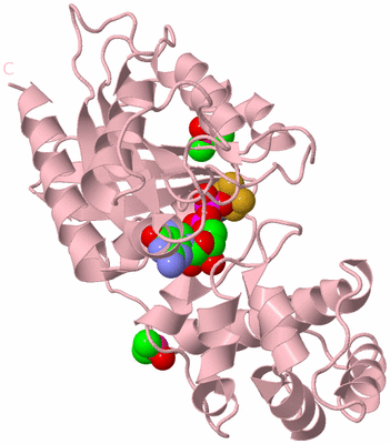 Image Biological Unit 1