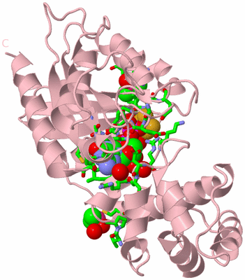 Image Biol. Unit 1 - sites