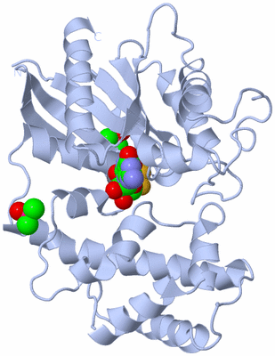 Image Biological Unit 2